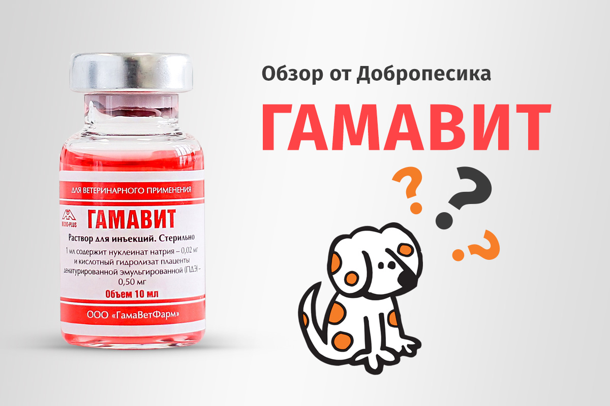 Гамавит Для Кошек Купить В Интернет Магазине